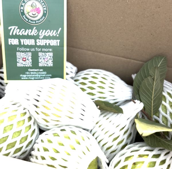 Thai-Pink Guava, 3Kg Box - Image 3